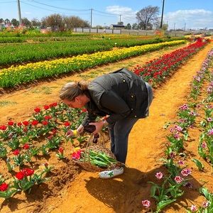 Meet your Posher, Lara